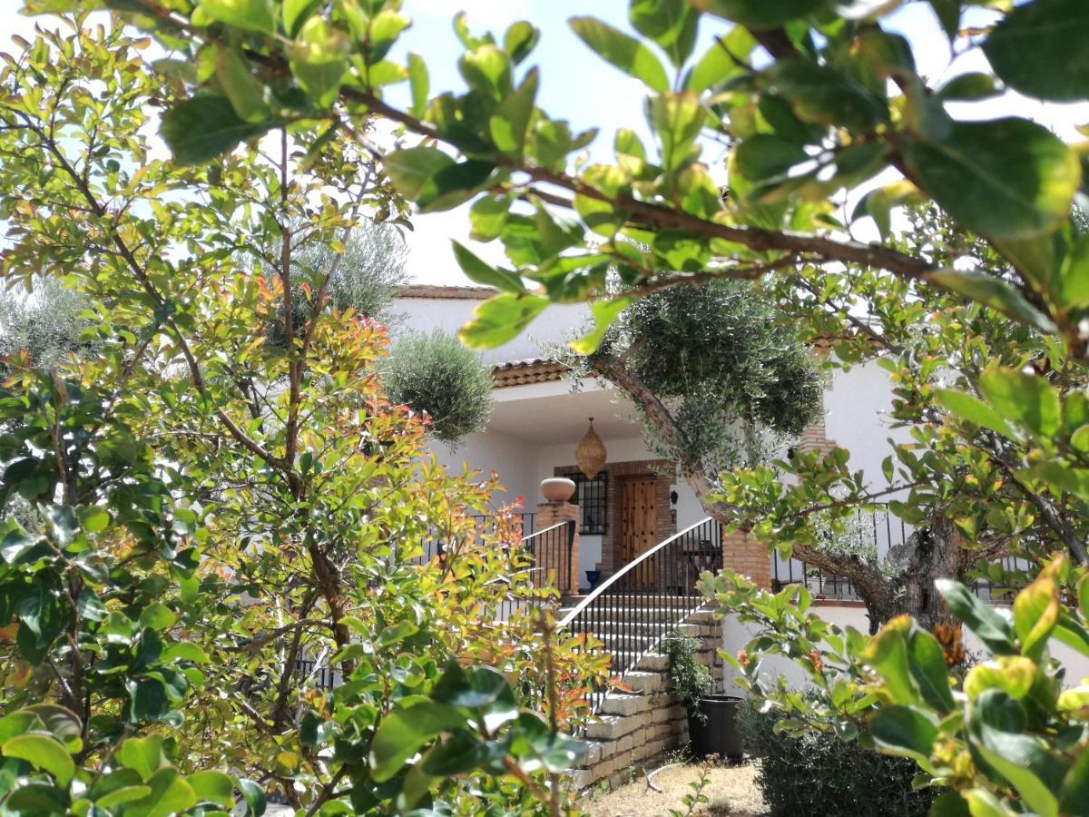 Casa Rural La Amistad Villa Burguillos de Toledo Esterno foto