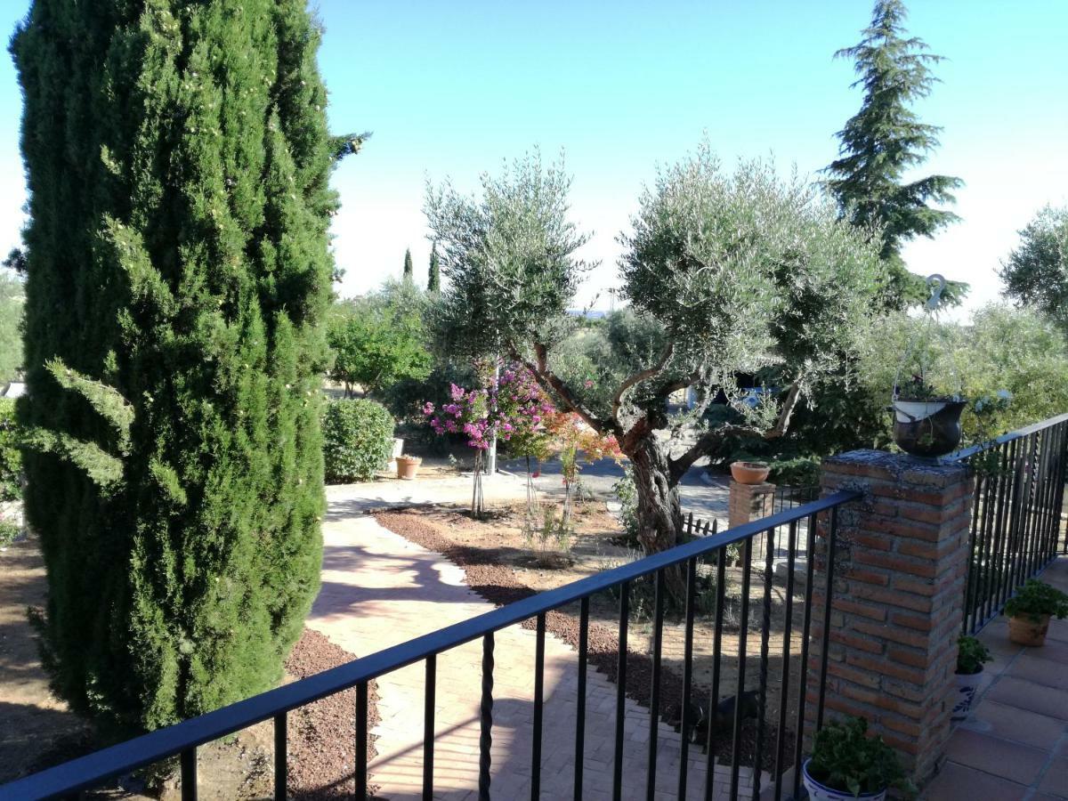 Casa Rural La Amistad Villa Burguillos de Toledo Esterno foto