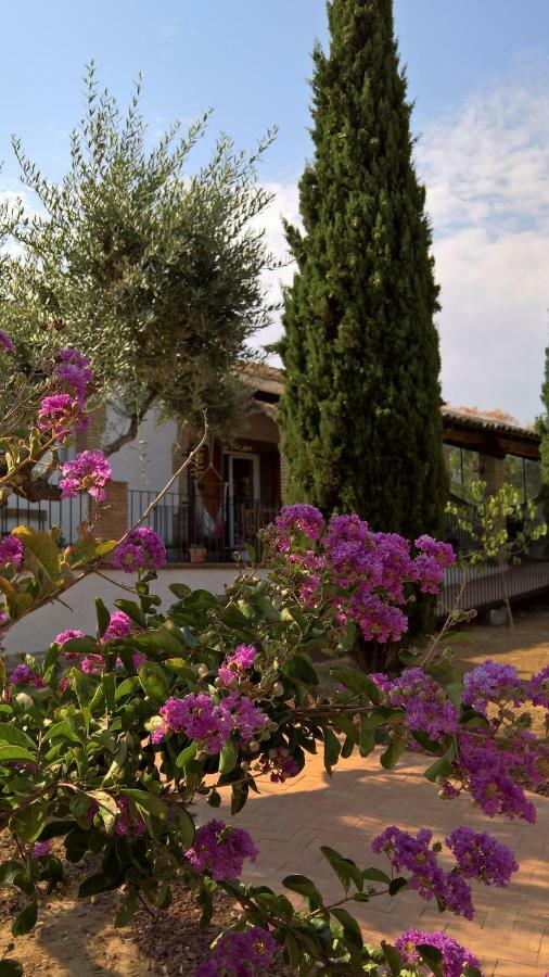 Casa Rural La Amistad Villa Burguillos de Toledo Esterno foto