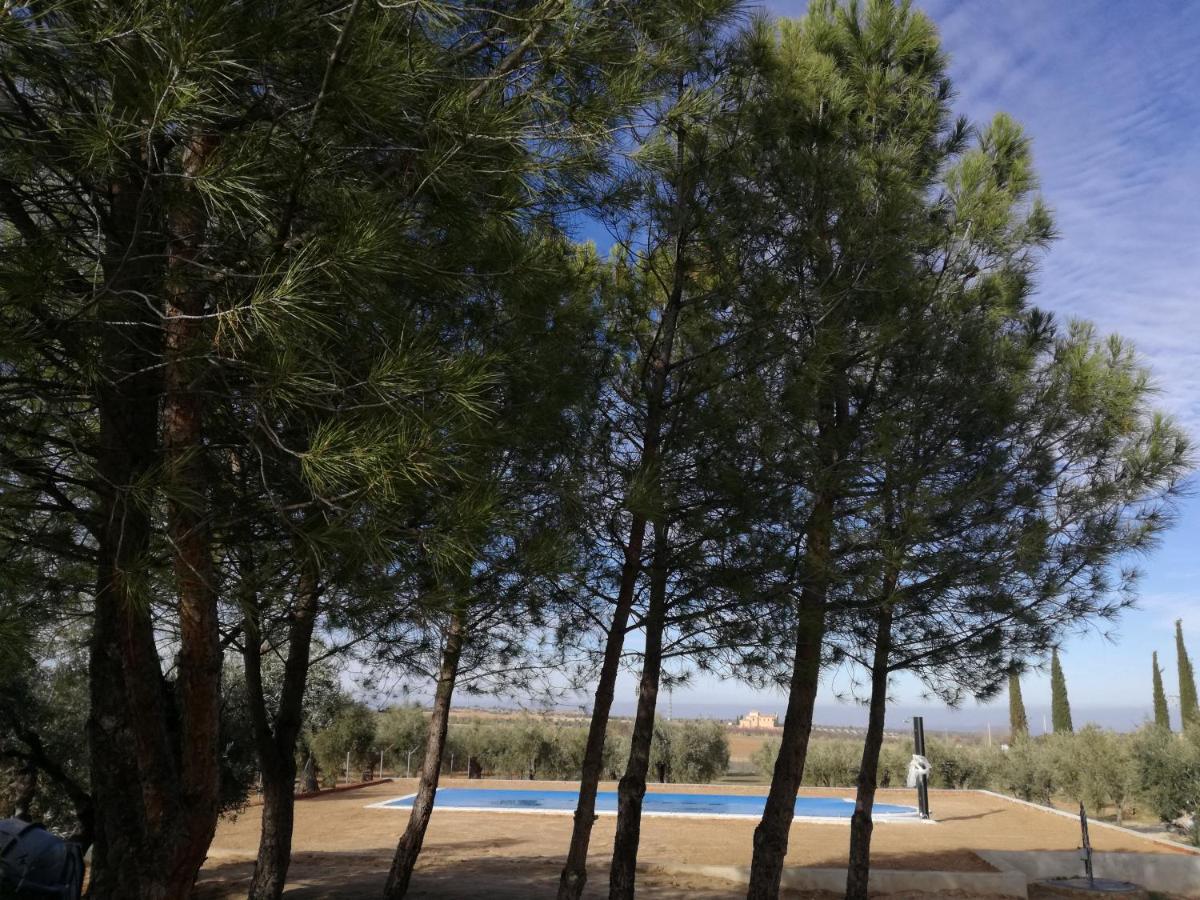 Casa Rural La Amistad Villa Burguillos de Toledo Esterno foto